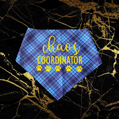 Chaos Coordinator_Yellow