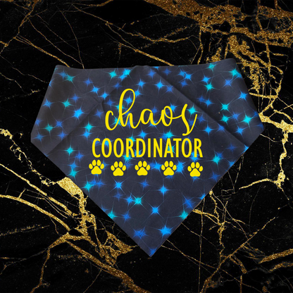 Chaos Coordinator_Yellow