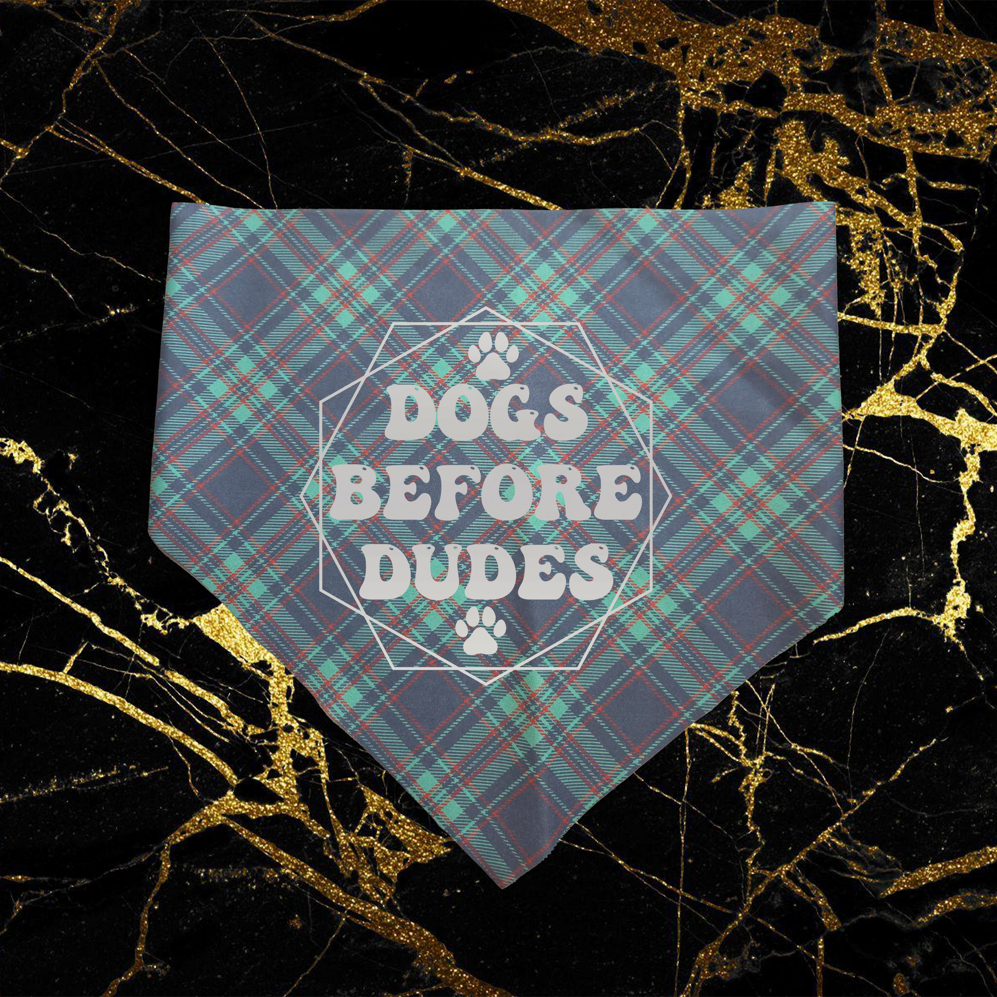 Dogs Before Dudes_Silver