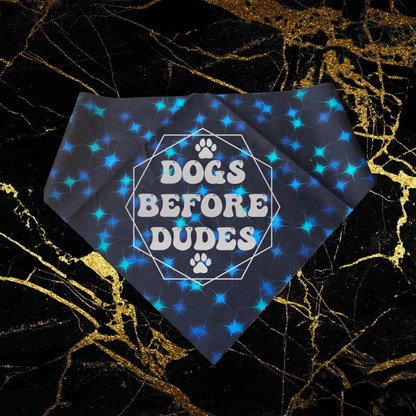 Dogs Before Dudes_Silver
