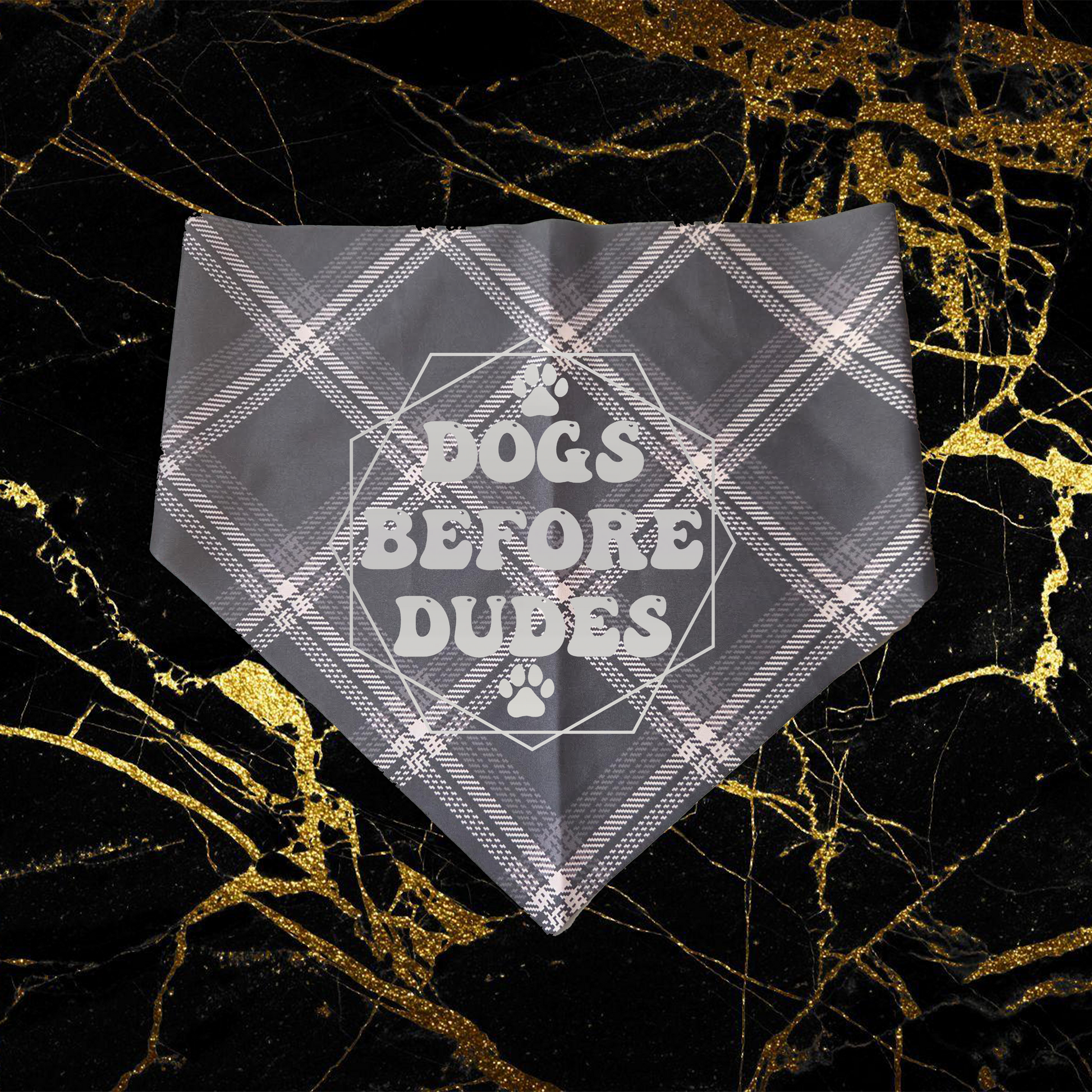 Dogs Before Dudes_Silver