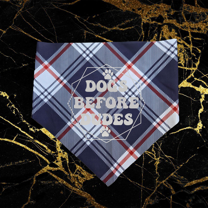 Dogs Before Dudes_Silver