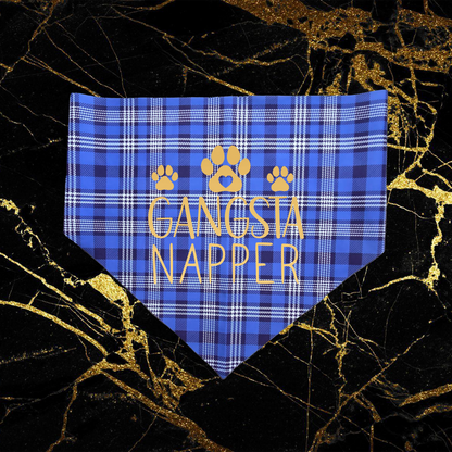 Bandana Style 17