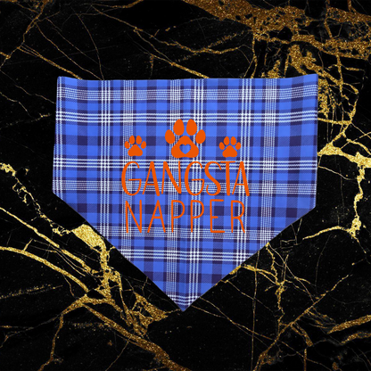 Bandana Style 17