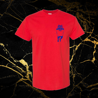 blue_red