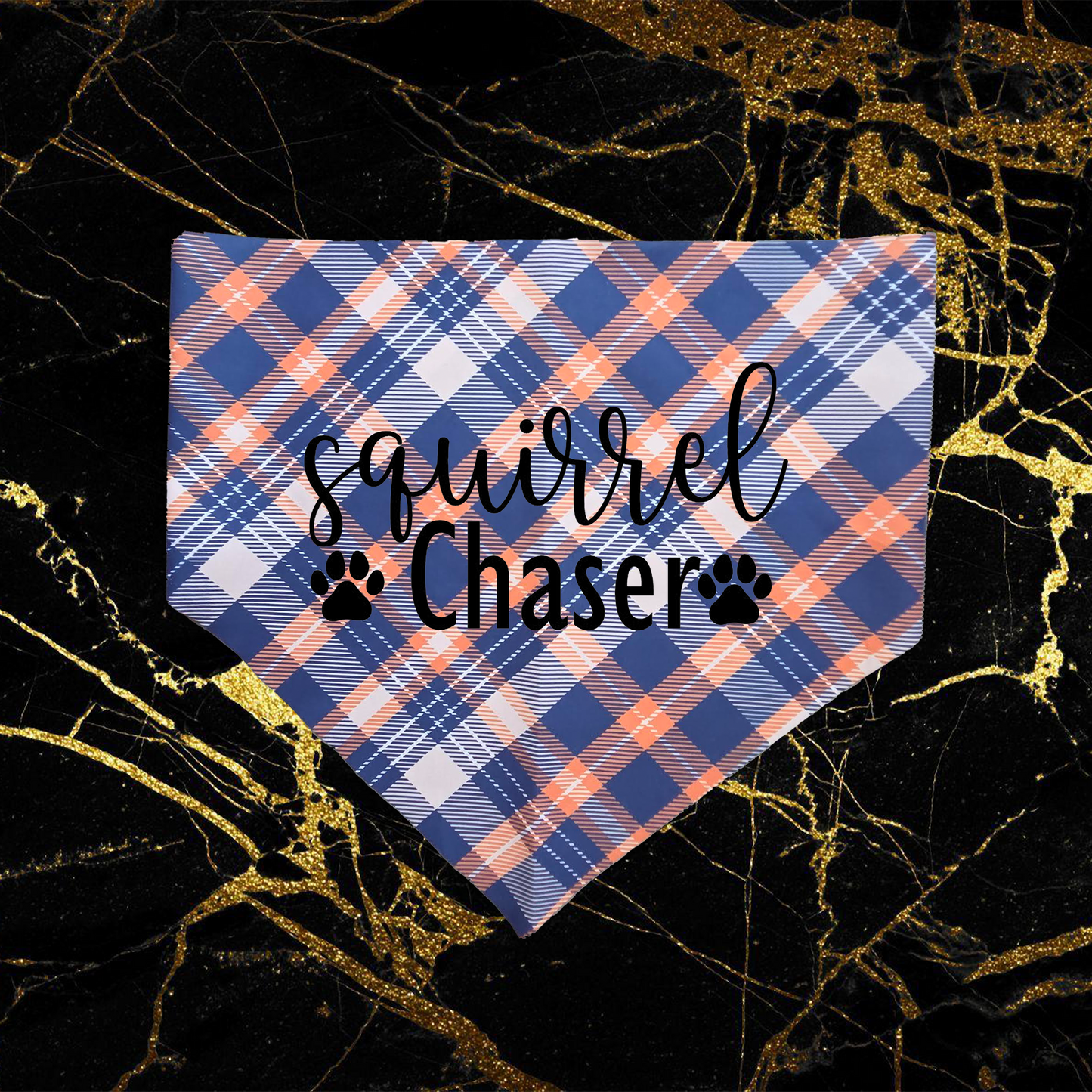 squirrel chaser_black