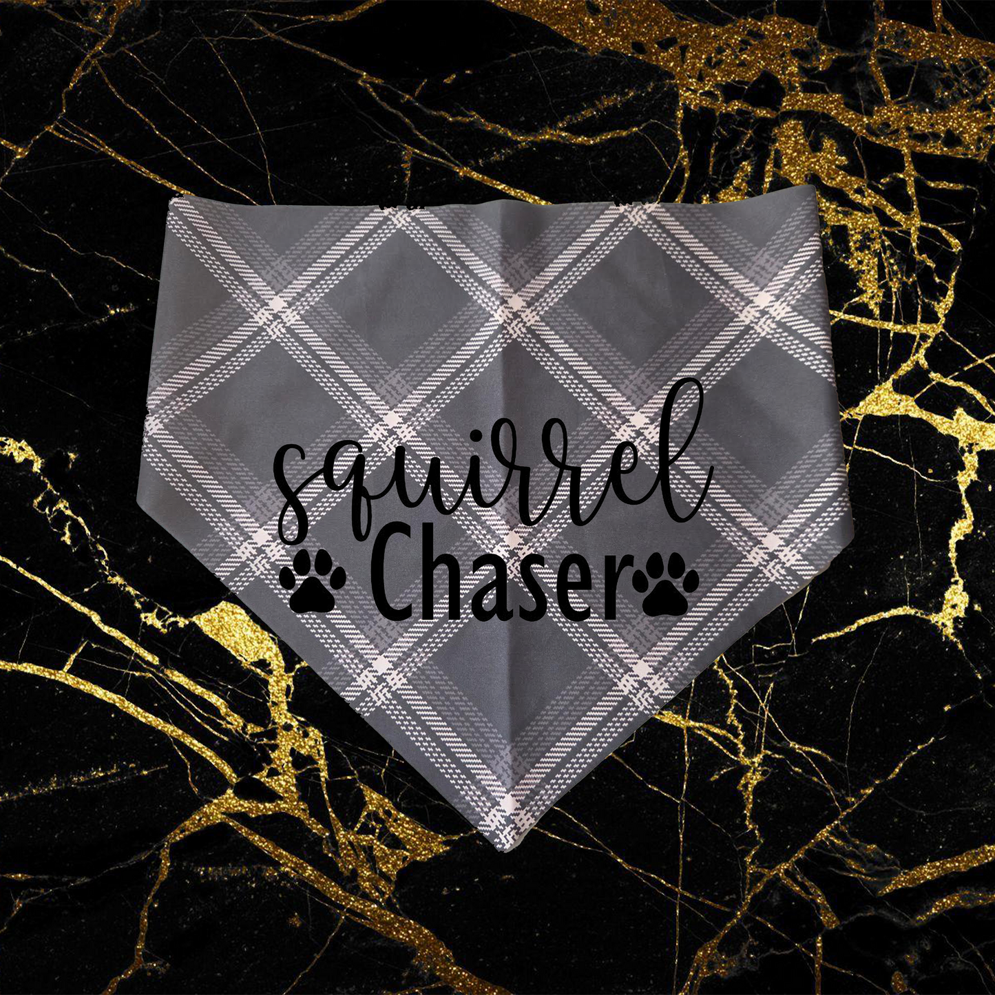Squirrel Chaser_Black
