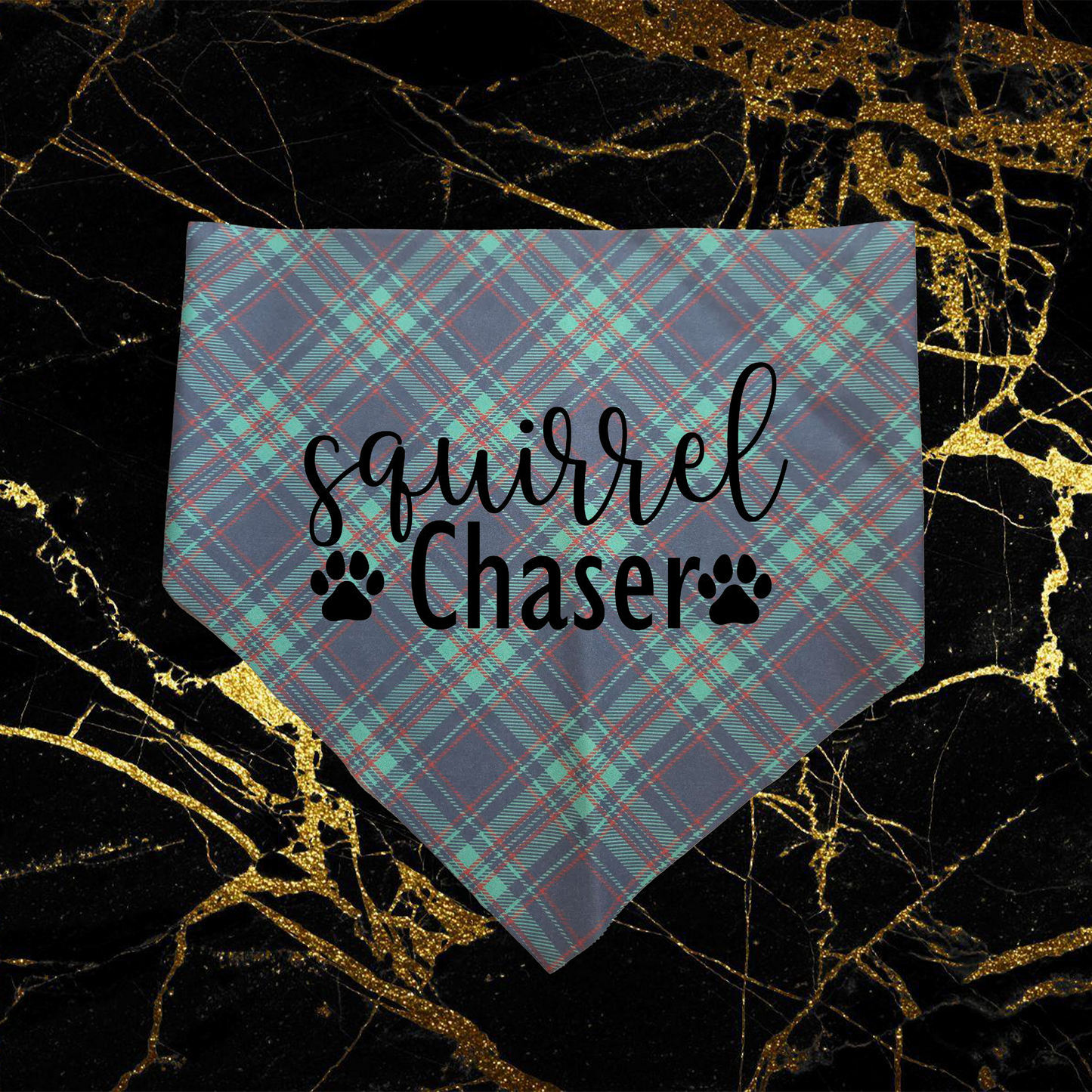 Squirrel Chaser_Black