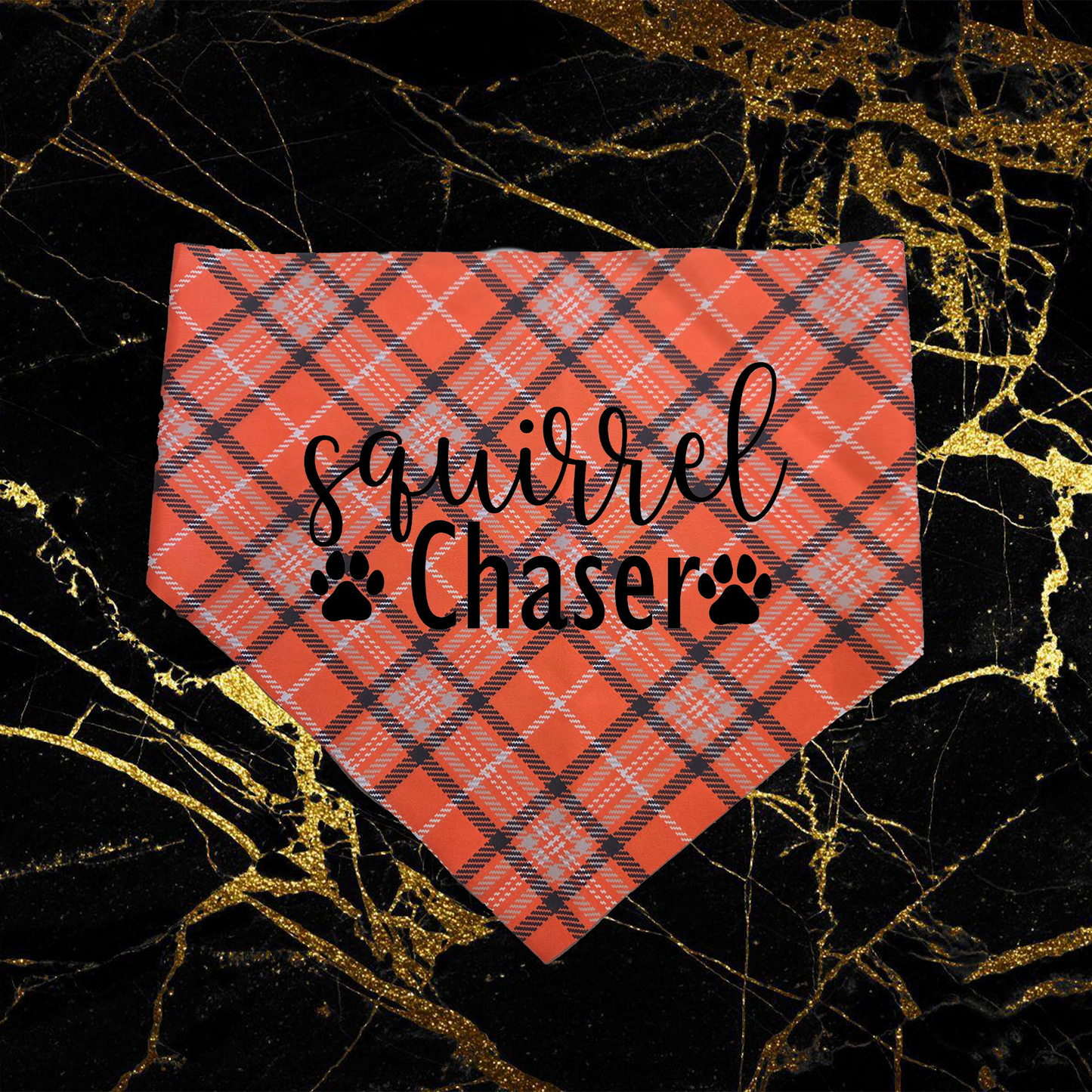 Squirrel Chaser_Black