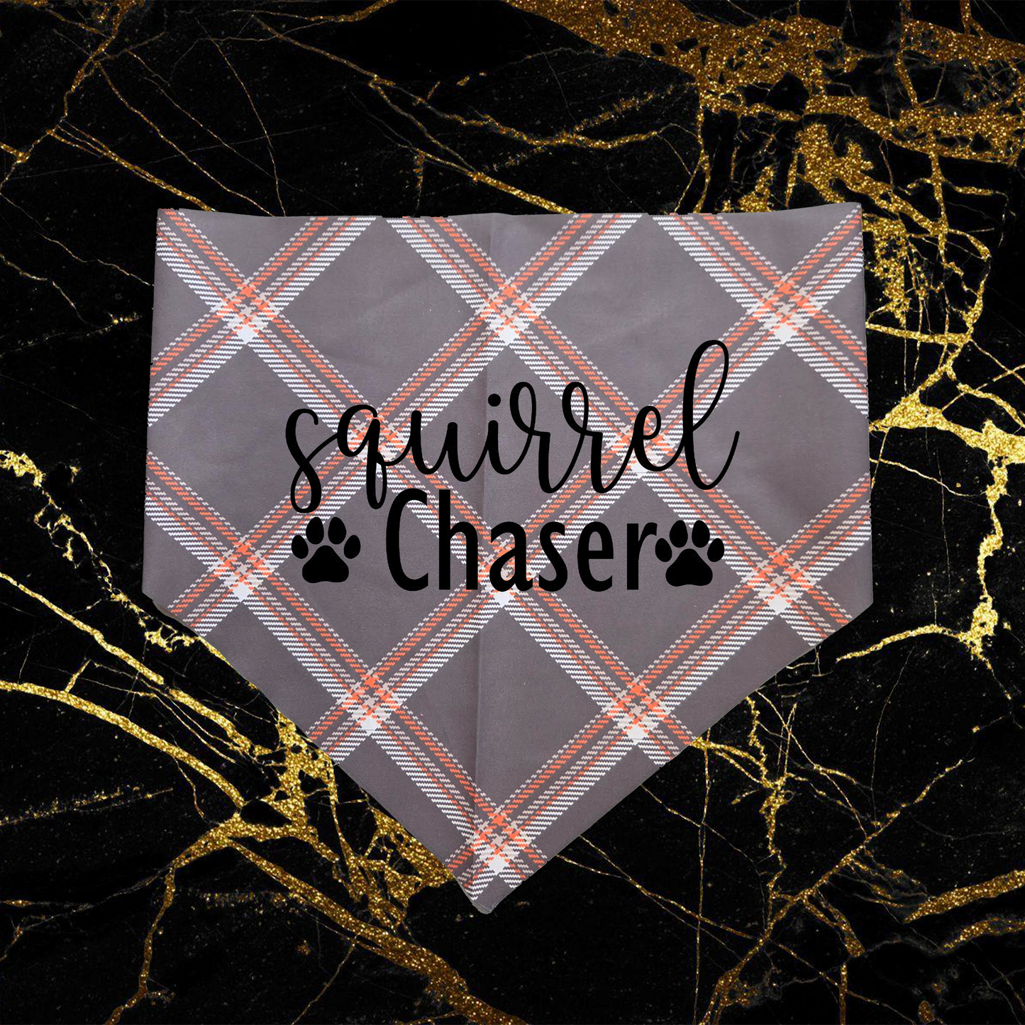 Squirrel Chaser_Black