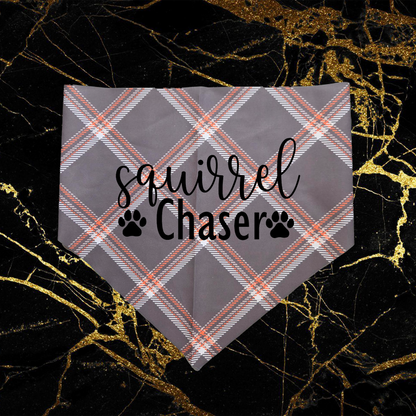 Squirrel Chaser_Black