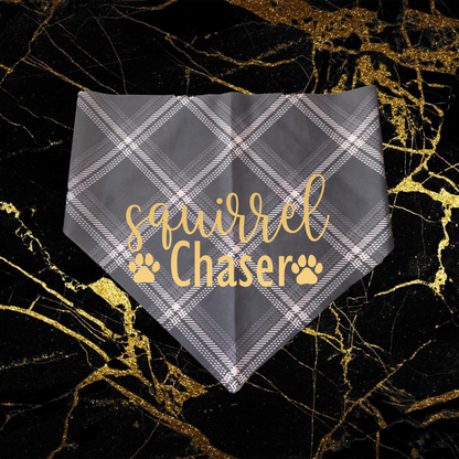 Squirrel Chaser_Gold