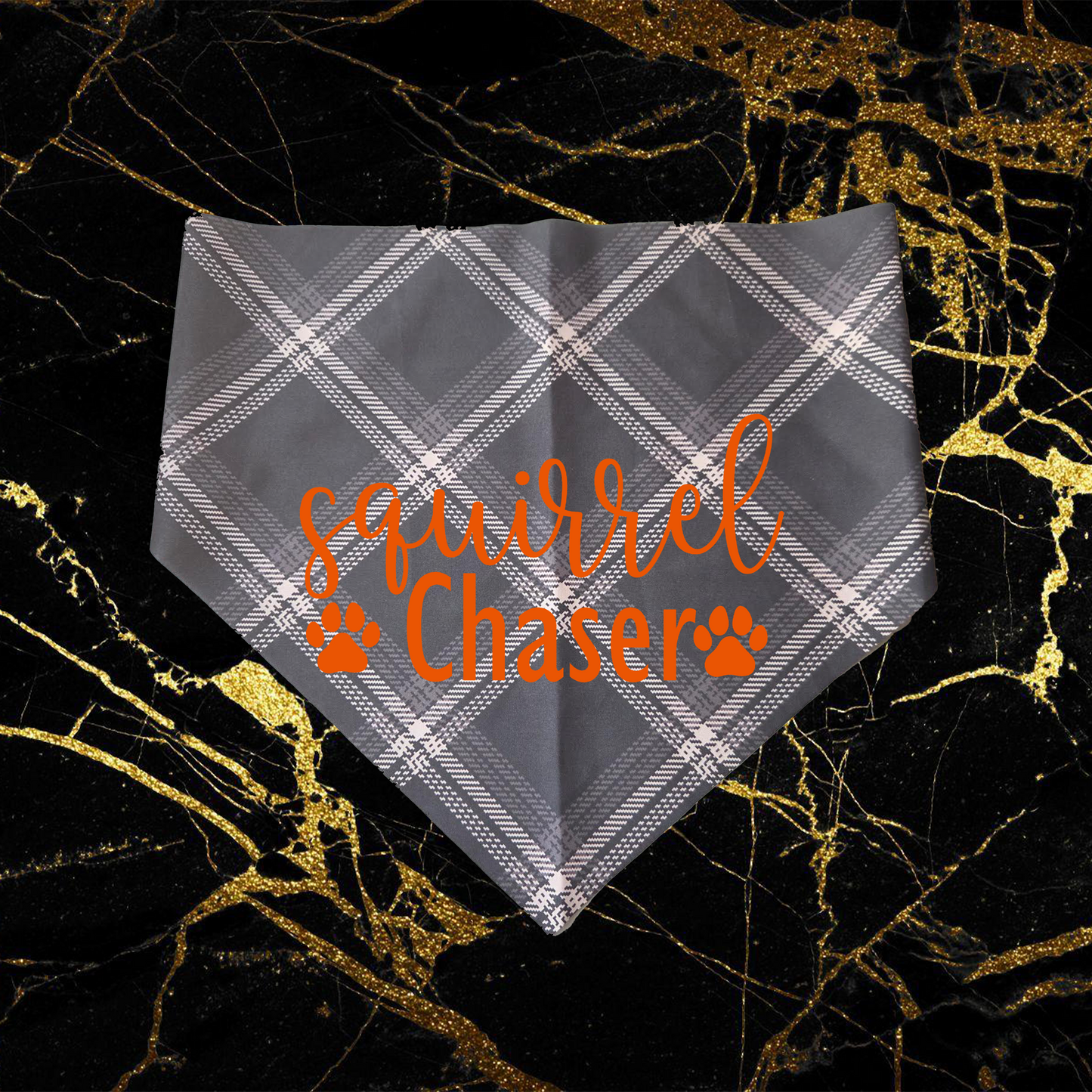 Squirrel Chaser_Orange
