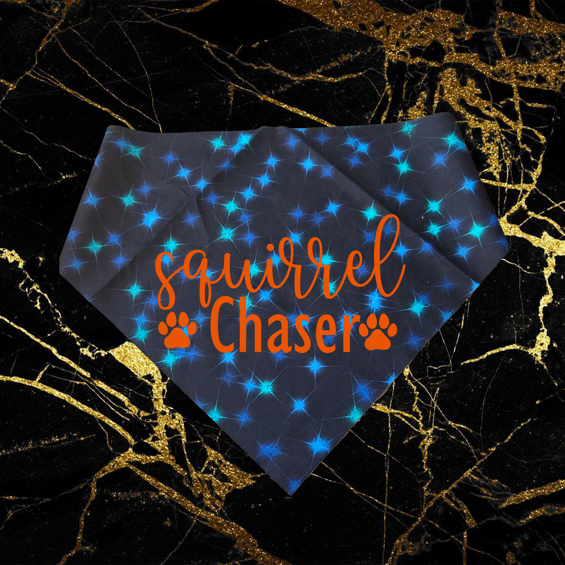 Squirrel Chaser_Orange
