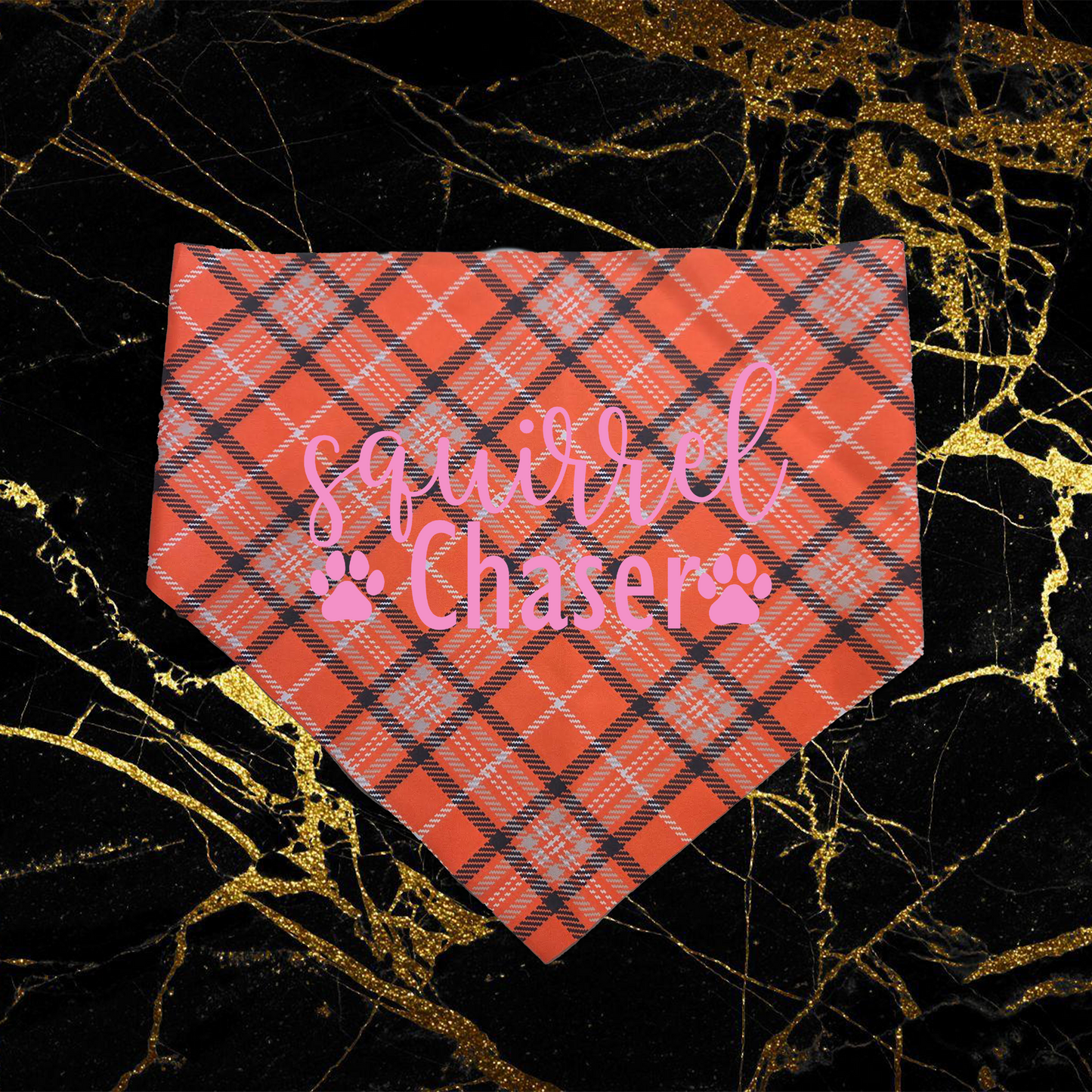 Squirrel Chaser_Pink
