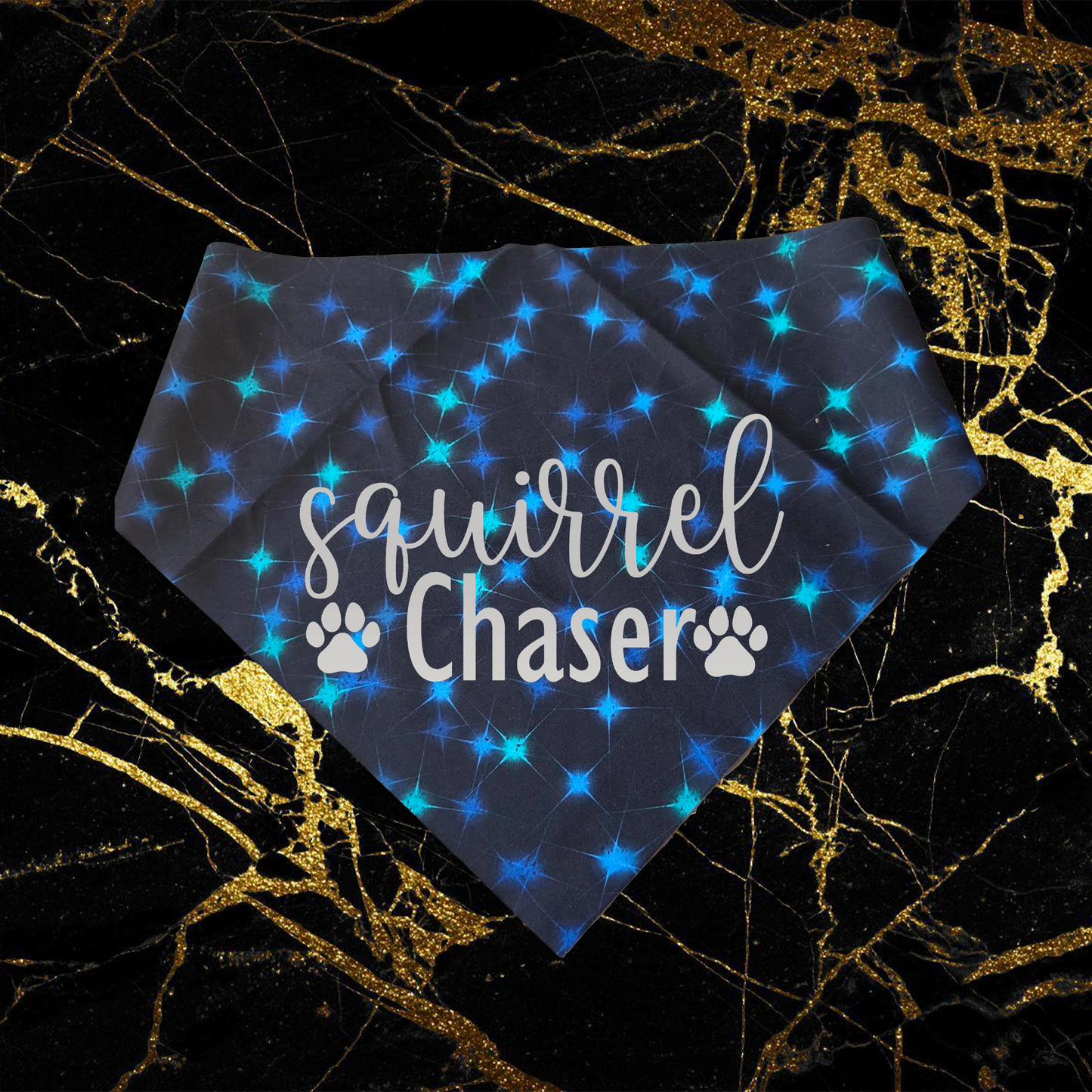 Squirrel Chaser_Silver