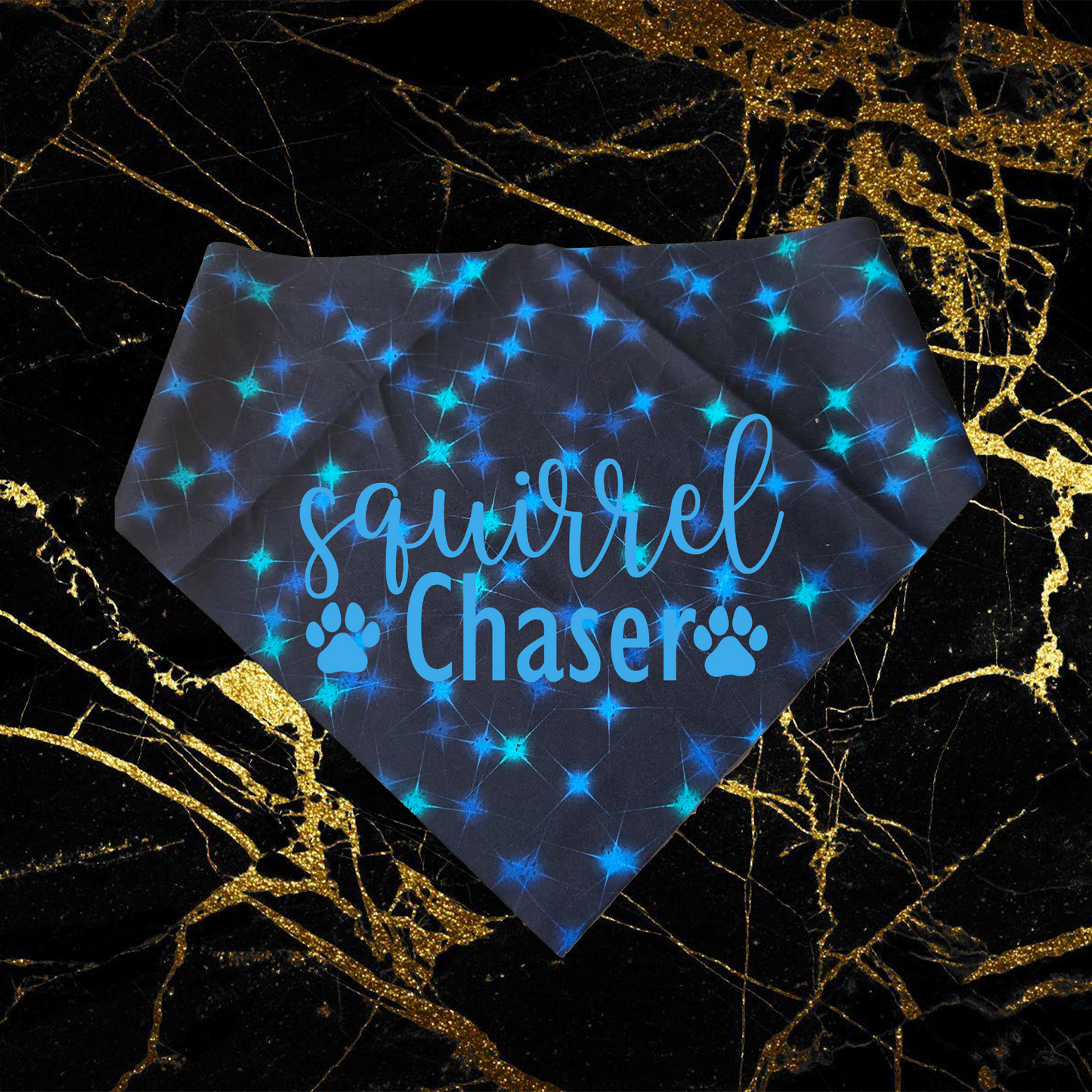 Squirrel Chaser_Sky Blue