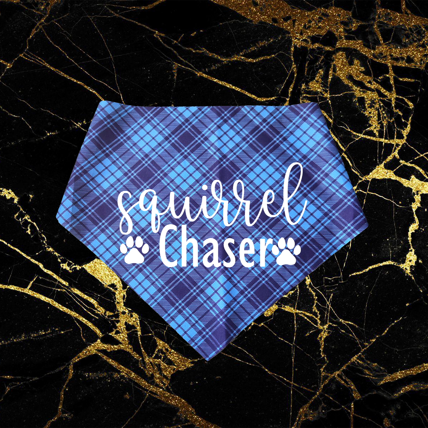 Squirrel Chaser_White