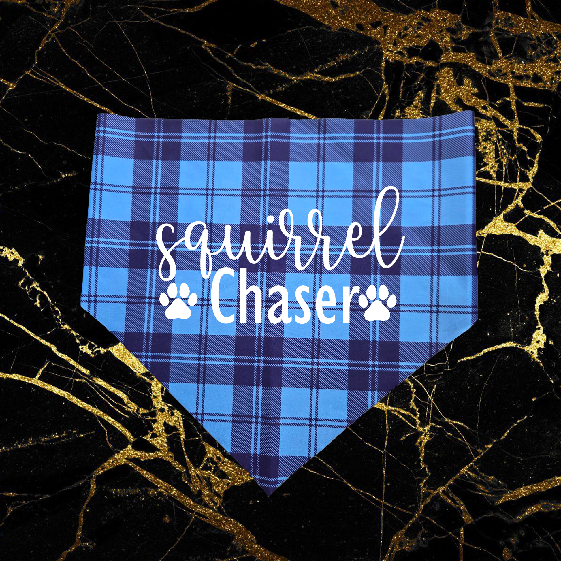 Squirrel Chaser_White