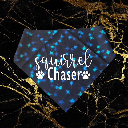 Squirrel Chaser_White