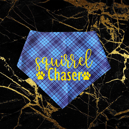 Squirrel Chaser_Yellow